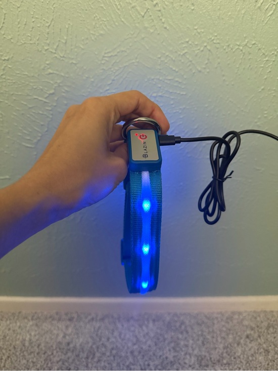 Other - LED Blue Light Dog Collar bundle